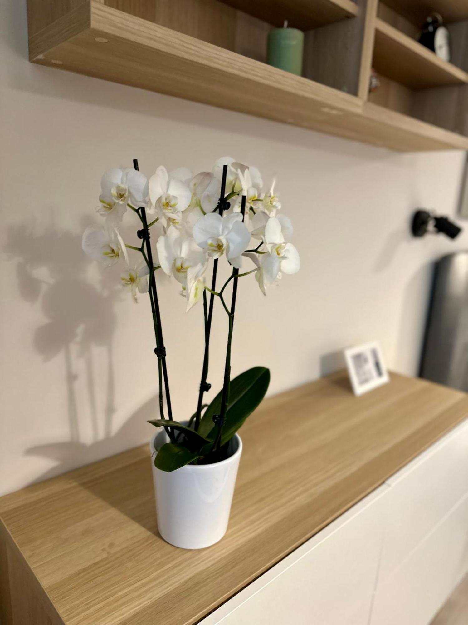 Serenity Studio Бургас Екстериор снимка